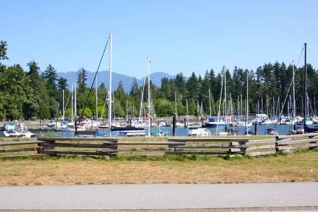 SeaWheeze View
