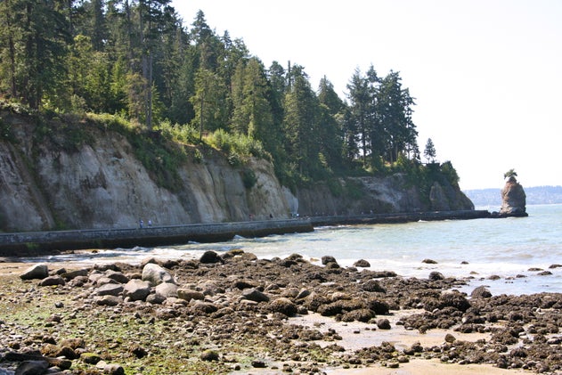 SeaWheeze Seawall