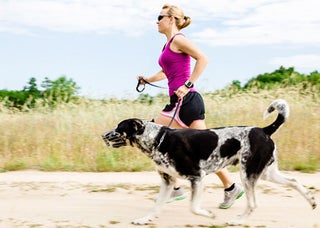 Photo: Shutterstock.com