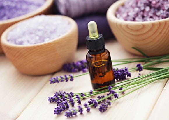 Photo courtesy of shutterstock.com