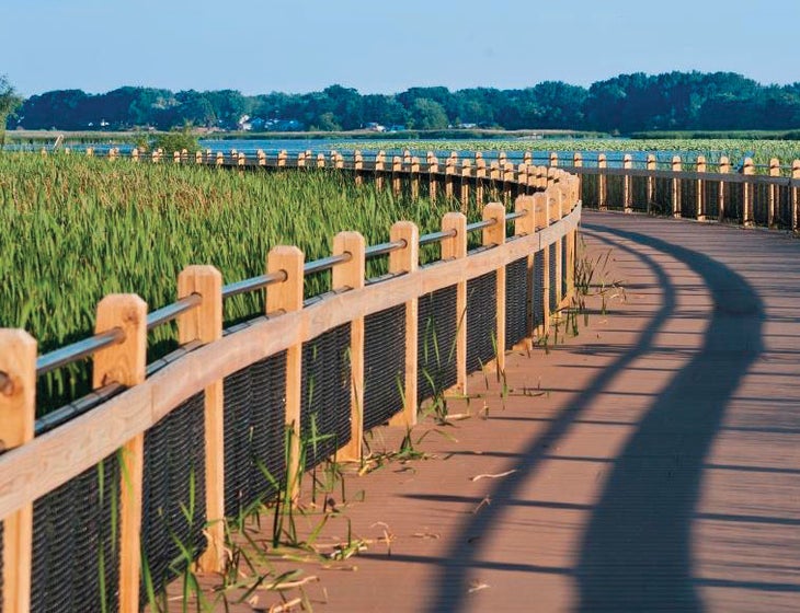 Rave Races Oktoberfest Marathon Women's Running