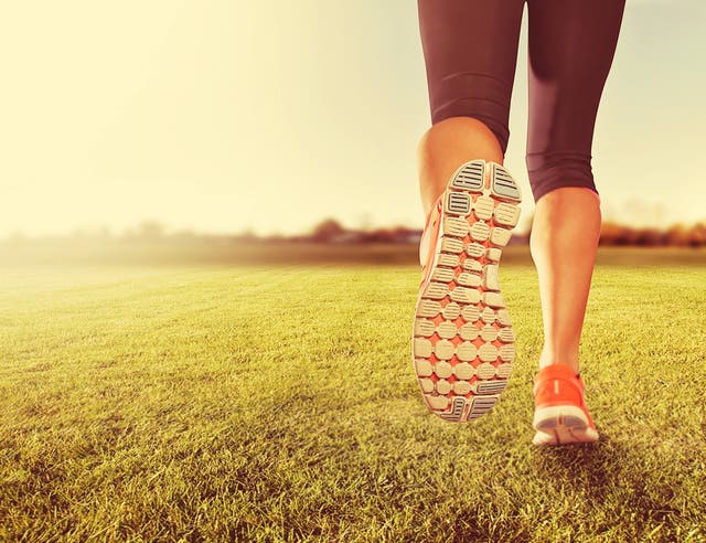 Why Did You Run Today?