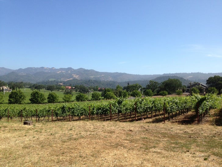 Napa,