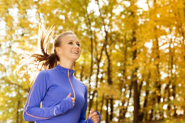2 Weeks to Thanksgiving: Your Shape-Up Plan