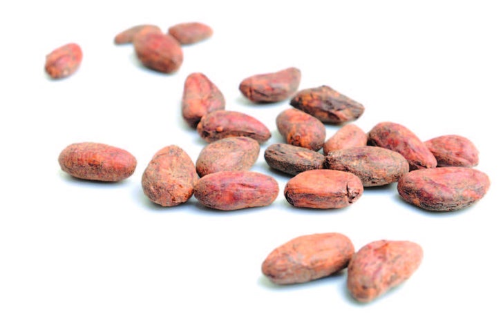 Cacao
