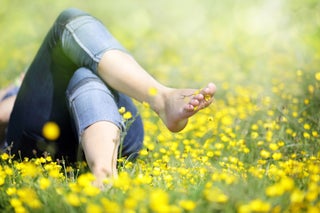 Photo: Shutterstock.com