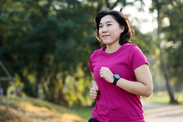 Zero to 5K to Half Marathon Plan