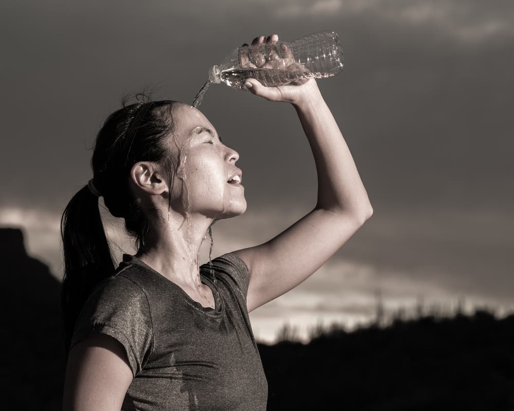 shutterstock_145199809