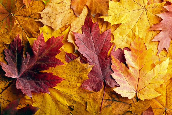 September