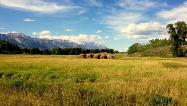 Scenery