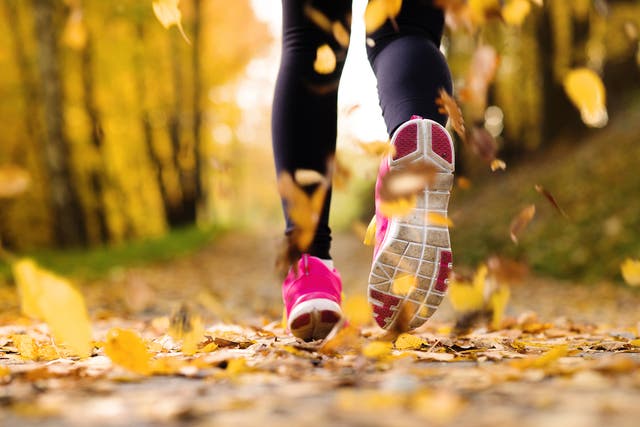 A Love Letter To Fall Running