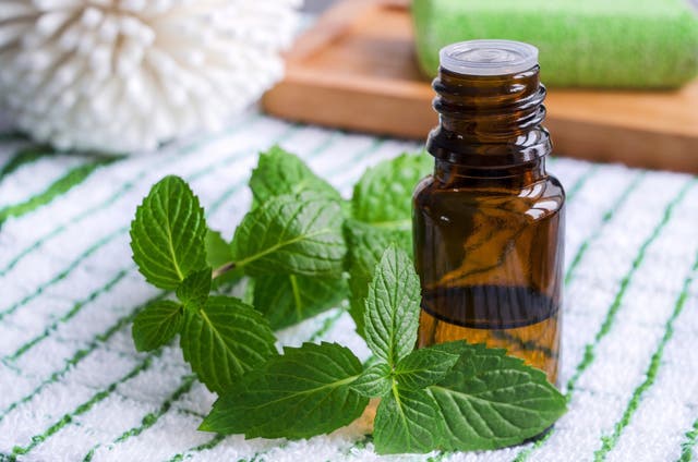 Why You Should Add This Essential Oil Into Your Routine
