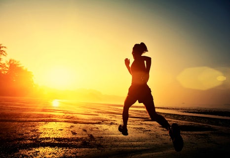 Photo: Shutterstock.com
