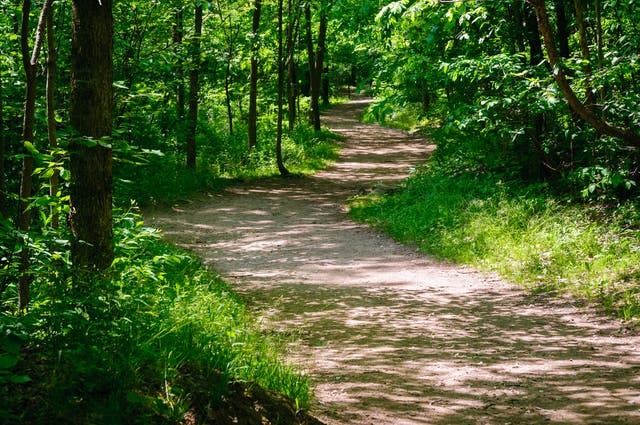 The Strangest Things Seen While Trail Running