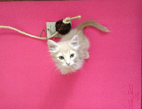 il_570xN.678850402_g4st