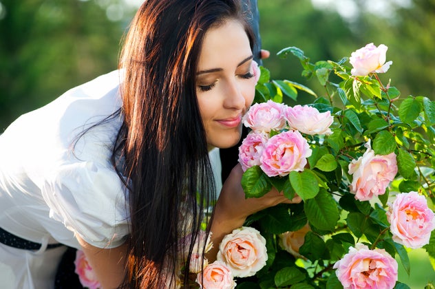 shutterstock_104519003