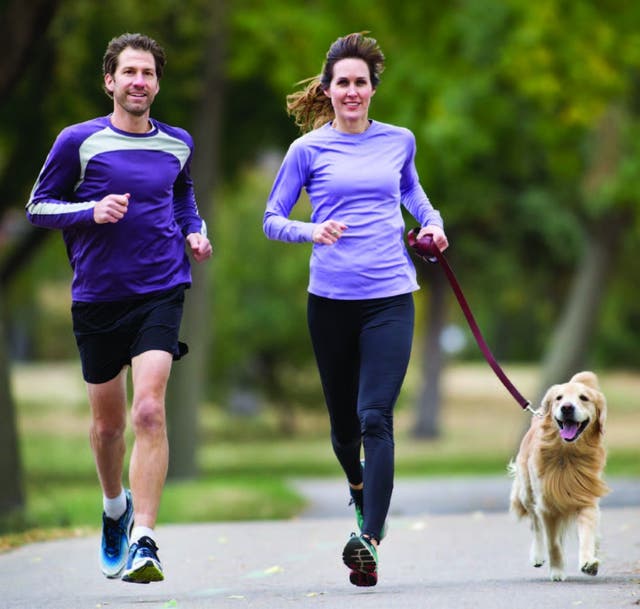 Is Your Dog Really A Good Training Partner?