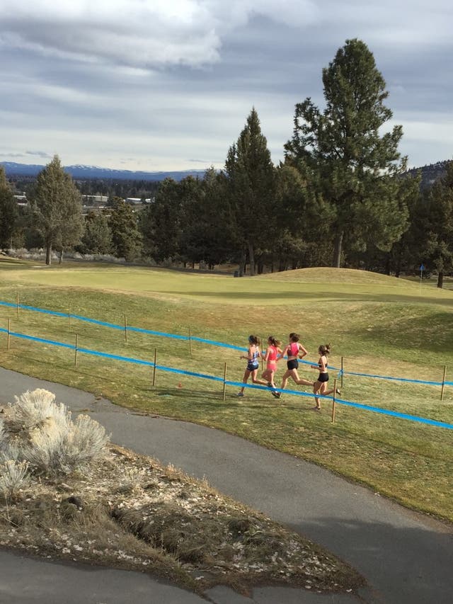Gritty Runners Take On USATF Cross-Country Championships