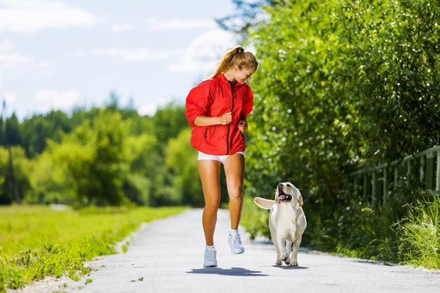 4 Expert Tips For Running With Your Pup