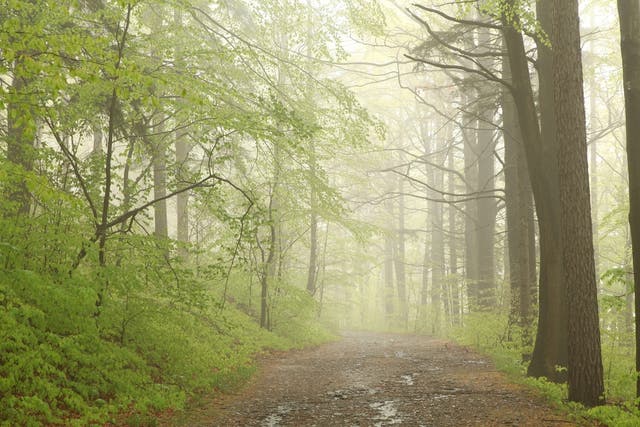 What Your Favorite Trail Race Would Say If It Could Talk