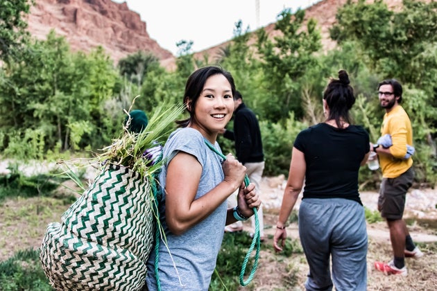 Amy alfalfa harvest in Todra Gorge