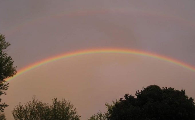 FB_IMG_1463019722931