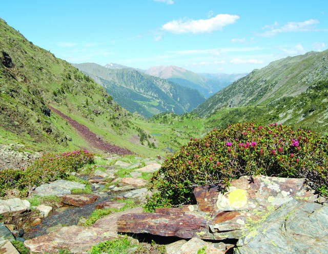 The Best Vacation Spot You Haven't Considered