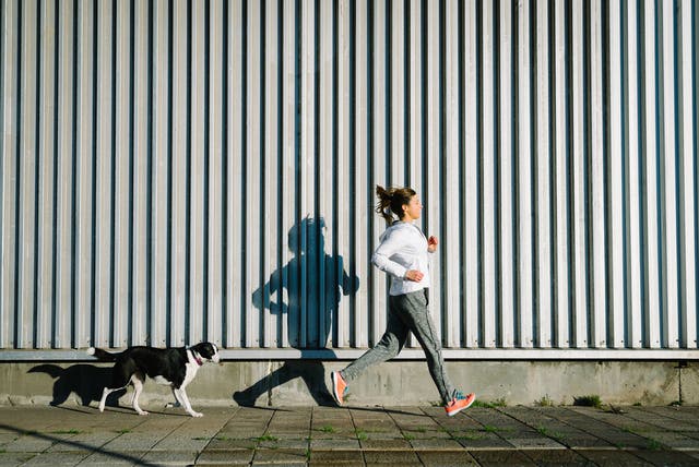 4 Things To Know About Running With Your Dog In Hot Weather