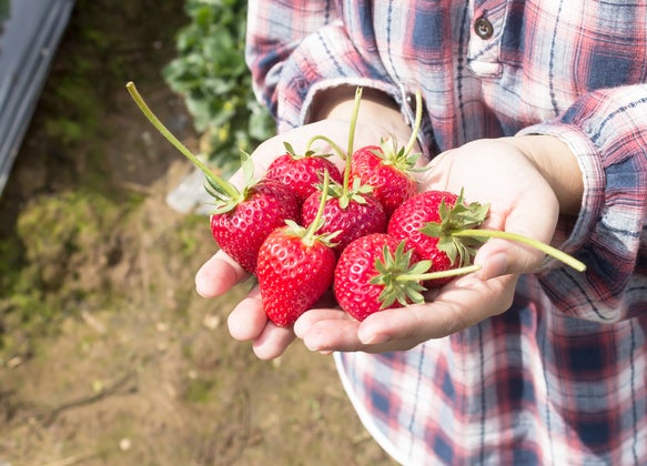 shutterstock_270356549