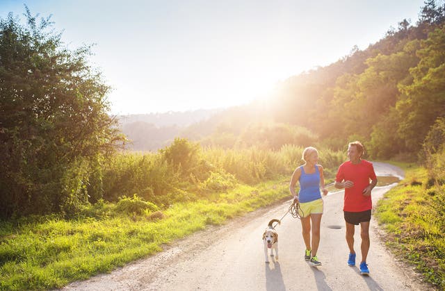 You Won't Believe The Benefits Running Has For Your Dog