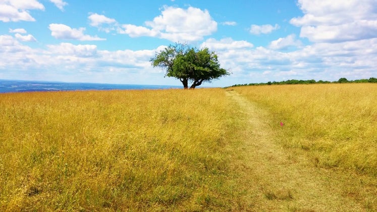Finger Lakes View From Cow Pasture WRM