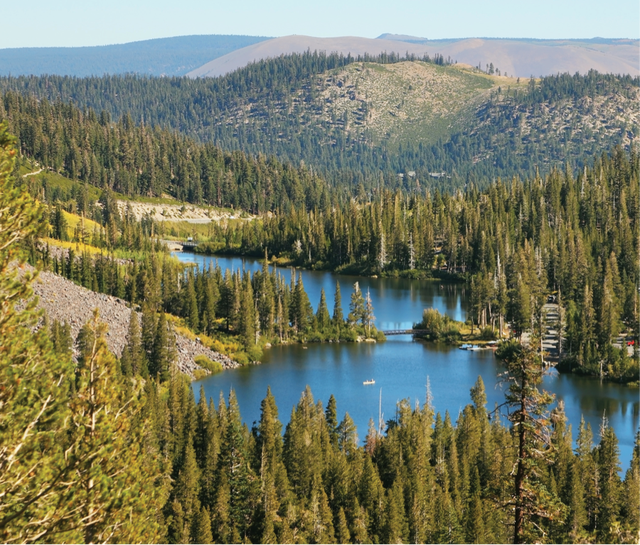 Spend Time With The Great Deena Kastor At This Camp
