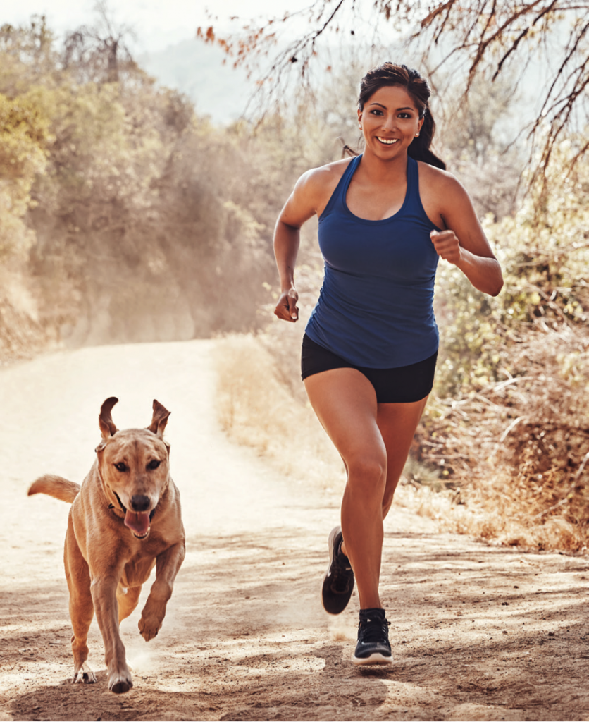 are labradoodles good running partners