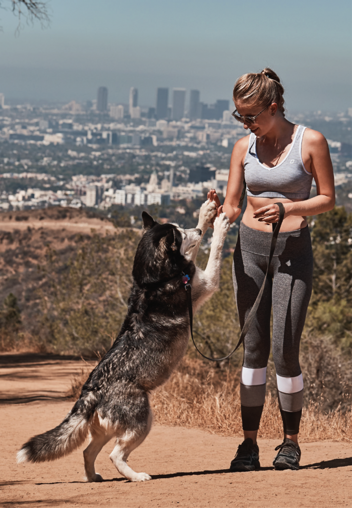 6 Important Things To Know Before You Run With Your Dog