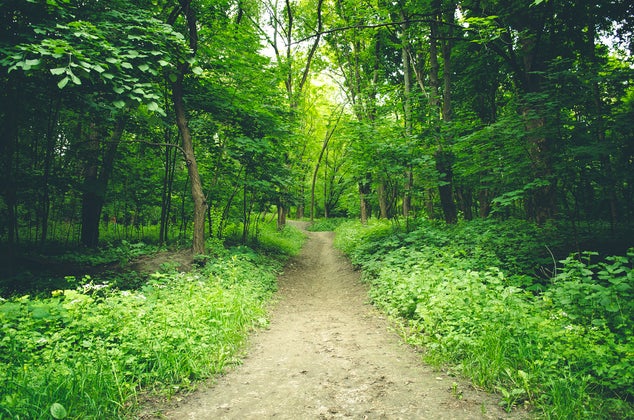 shutterstock_195178625