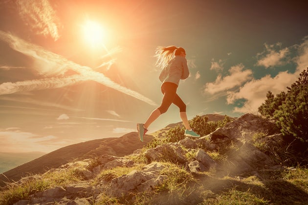 shutterstock_387237496