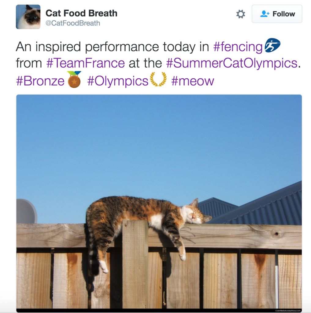 Fencing_Cat Olympics
