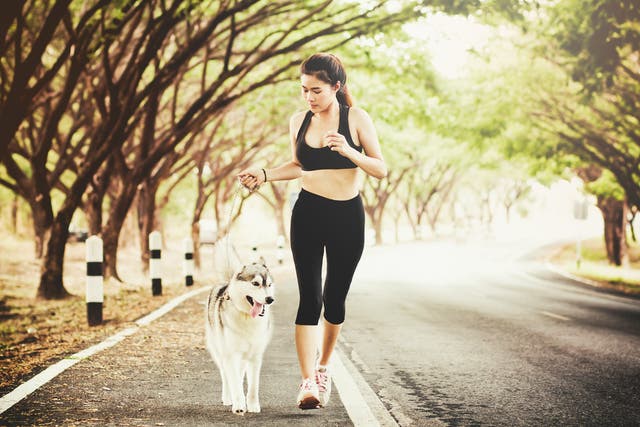 How Your Dog Is Helping You Get Fitter