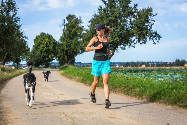 The Perfect Playlist For Running With Your Dog