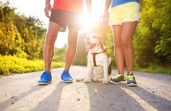 runners and dog