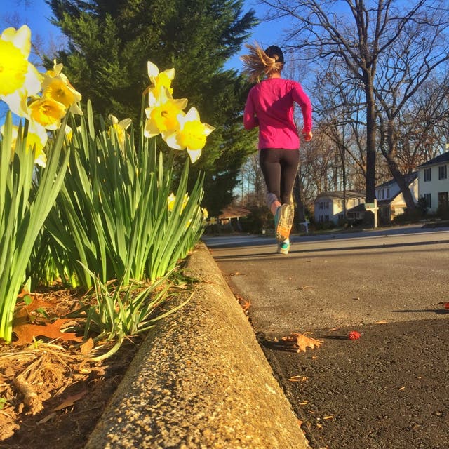 What Running Would Tell You If It Could Speak