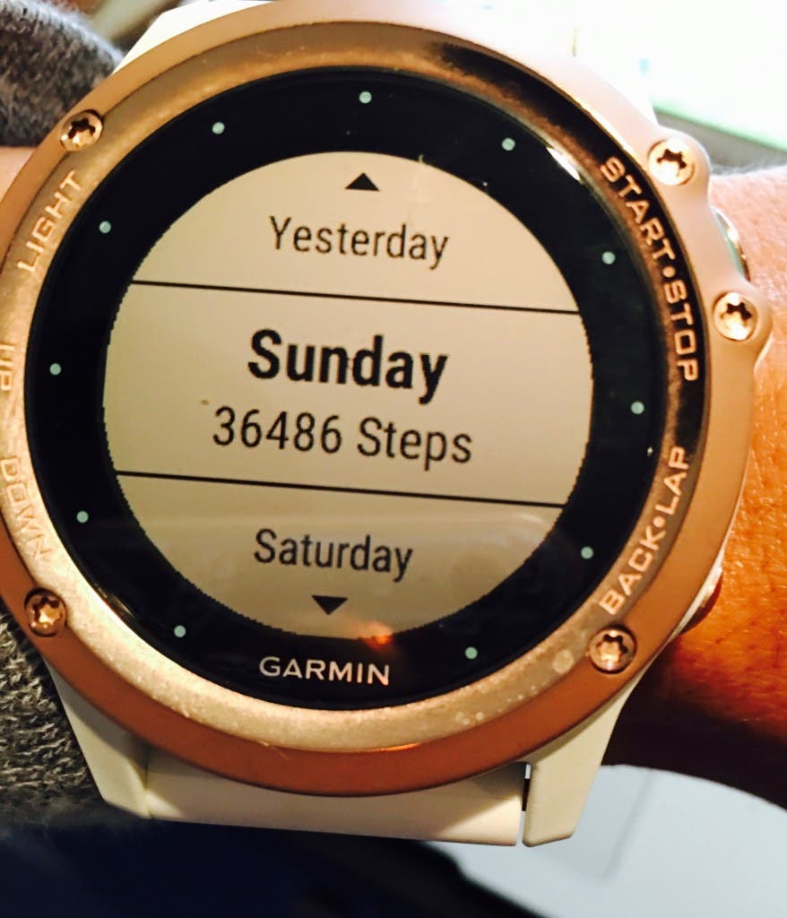 Fenix3 White/Rose Gold New Garmin fēnix 3  main image 3