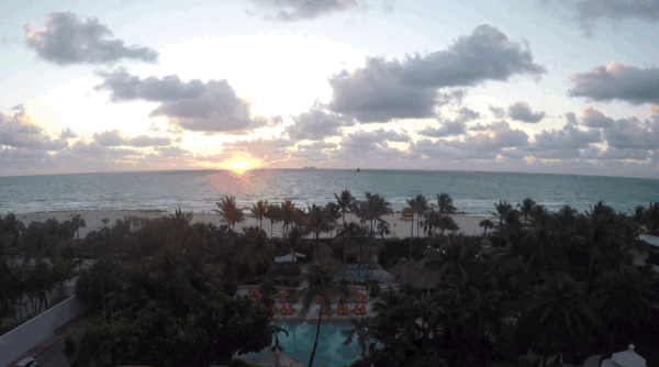 8 Reasons Miami Is The Perfect Runcation Destination