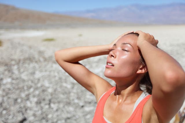 A Letter To The Summer Runner, From The Winter Runner