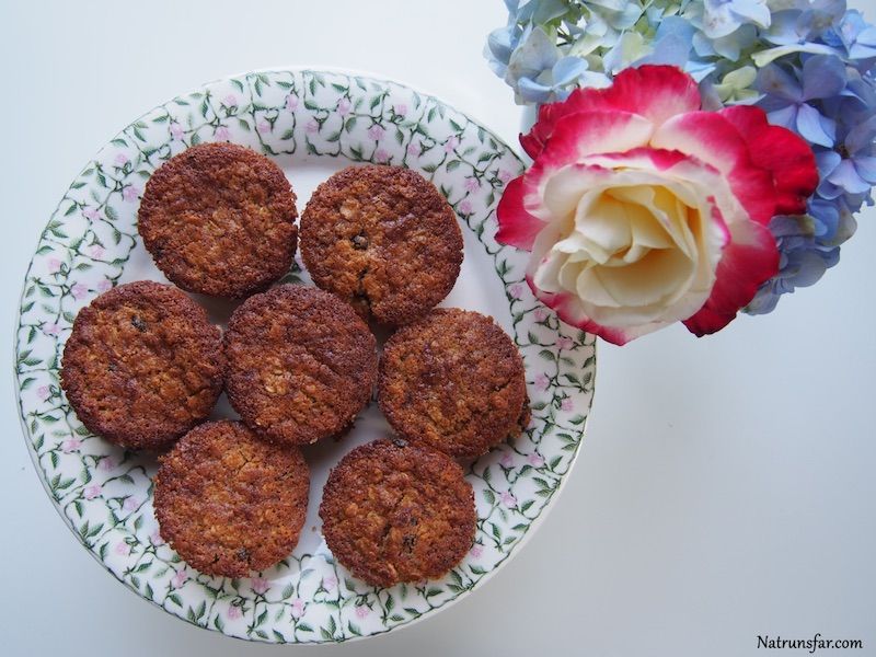 oatmeal currant muffins recipe, oatmeal currant muffins