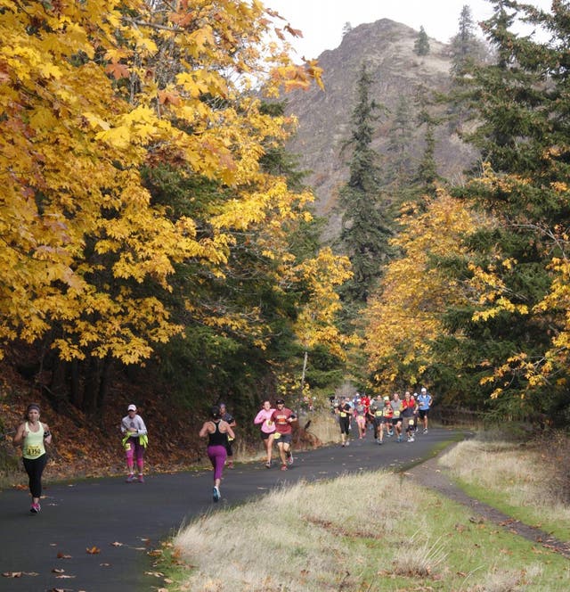 7 Races With Excellent Fall Foliage To Check Out This Autumn
