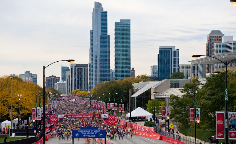 Photo by Max Herman / Shutterstock.com.