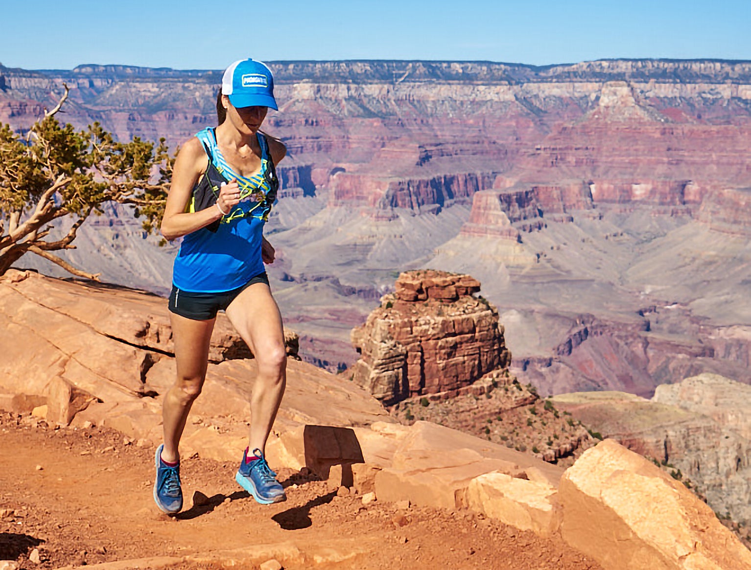 Photo courtesy of Alicia Vargo.