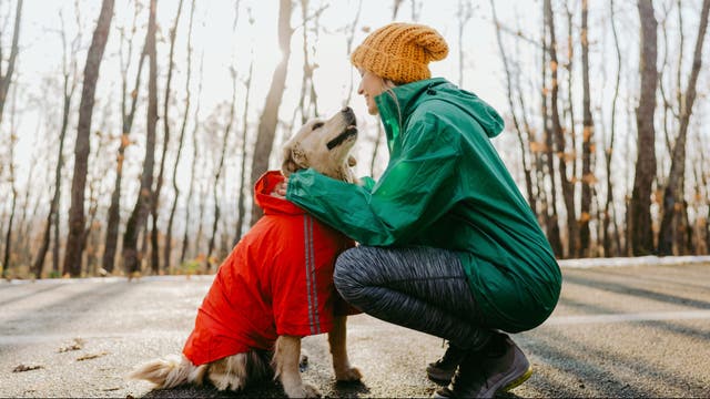 Protect Your Pup During Cold Runs With These Tips