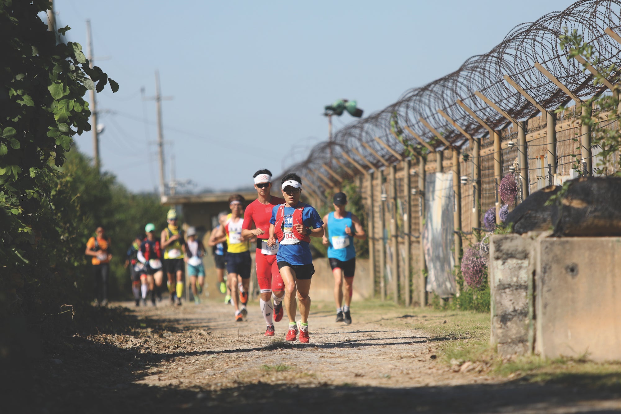 Photo courtesy of DMZ Trail Running.